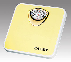 Mechanic Bathroom Scale